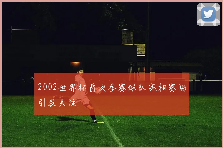 2002世界杯首次参赛球队亮相赛场引发关注